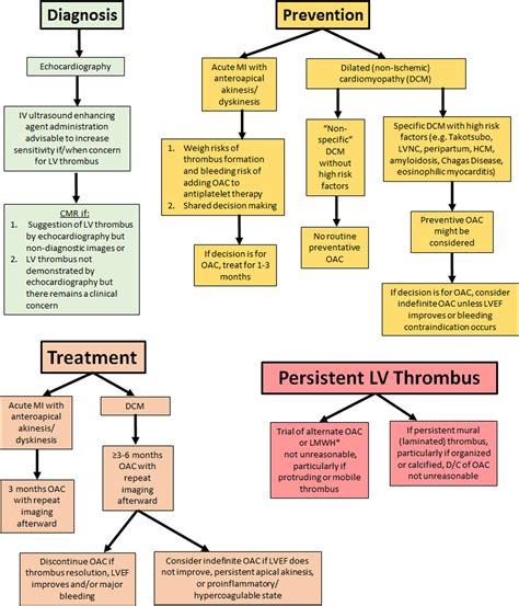 rivaroxaban lv thrombus|risk factors for lv thrombus.